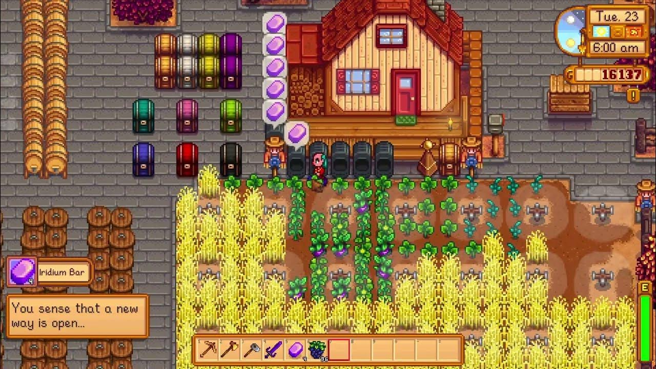 you-sense-that-a-new-way-is-open-meaning-stardew-valley-1-6-youtube