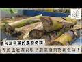 農廢化身永續材料！打造永續循環經濟【台灣弓蕉的農廢奇蹟】2026.05.26 第346集