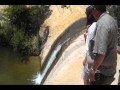 Upper Calf Creek Falls, Escalante Utah. by Josh Reimschussel