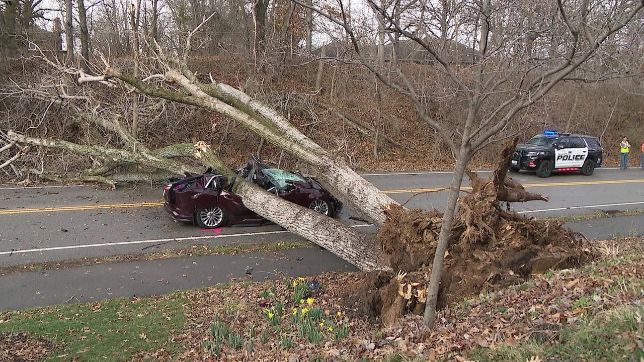 Driver taken to hospital after tree smashes car in Blue Springs - YouTube