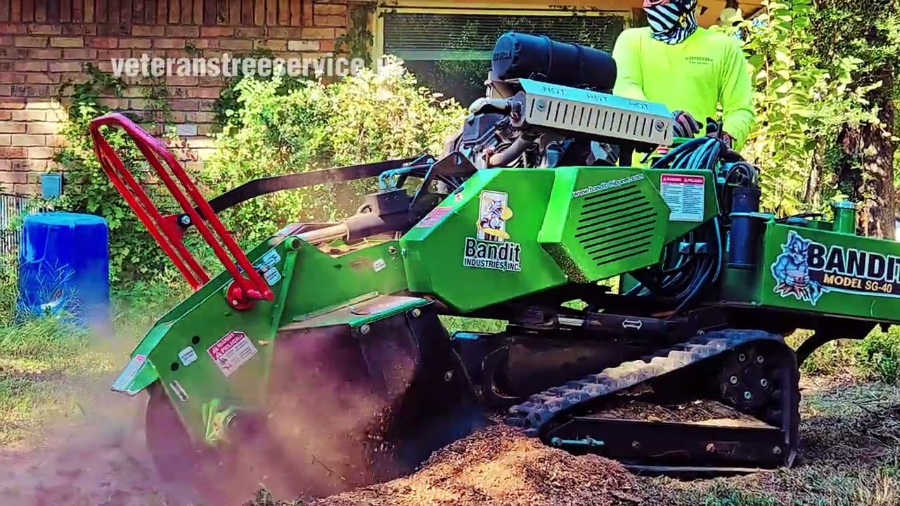 Expert Stump Grinding by Veterans Tree Service | Fast & Professional Stump Removal