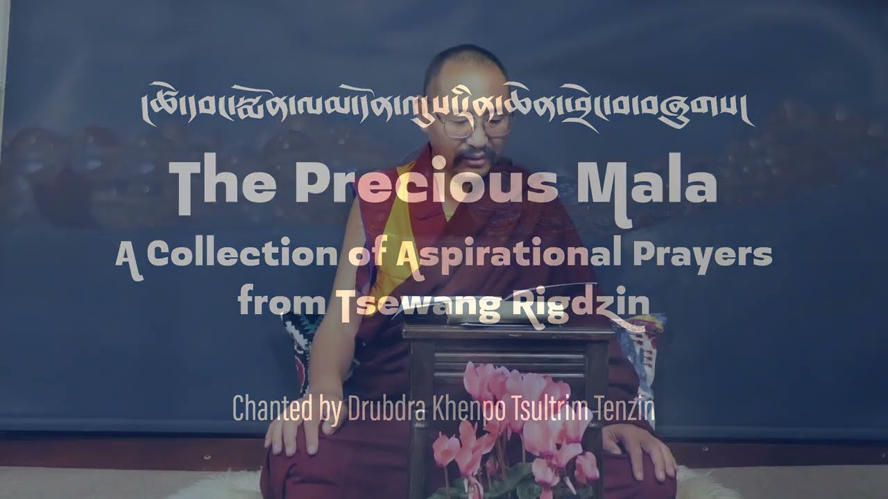 Tsewang Mönlam: The Precious Mala. Chanted by Drubdra Khenpo Tsultrim Tenzin