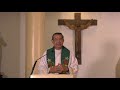 Facing Our Fears with God - Homily by Fr Jerry Orbos SVD - August 9 2020 (Full HD)