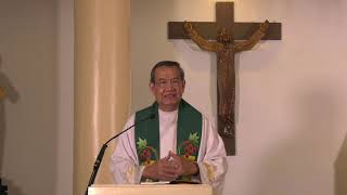Facing Our Fears with God - Homily by Fr Jerry Orbos SVD - August 9 2020 (Full HD)