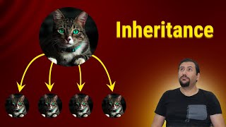 C# Inheritance Explained: With Asp.net Core entities example