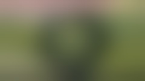 PUBG MOBILE LITE,  SAMSUNG A3,A5,A6,A7,J2,J5,J7,S5,S6,S7,S9,A10,A20,A30,A50,A70 / PUBG Lite