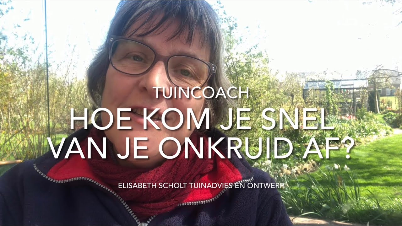 HOE KOM JE SNEL VAN JE ONKRUID AF? - YouTube