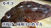 カサゴの唐揚げ プロが教える頭までサクサクに揚げて食べる方法 Youtube