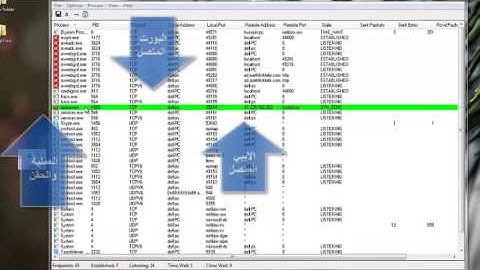الدرس الواحد وعشرون من دوره كشف الدمج والتلغيم  tcpview