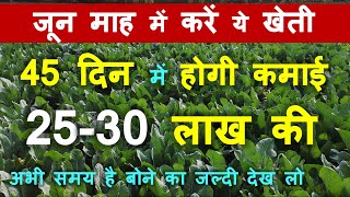 जून माह में करें ये खेती 45 दिन में होगी कमाई 25-30 लाख की | june vegetables | जून की खेती