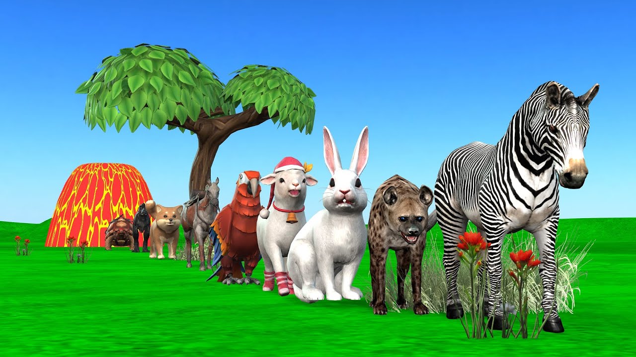 Paint & Animals Cat, Pig, Rabit Buffalo, Lion Fountain Crossing Transformation Animal Cartoon - P1