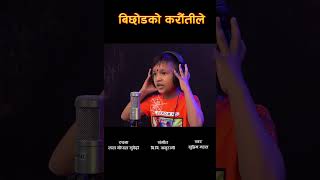 Bichodko Karautile | Pardeshi Movie | Kid Version Suprim Malla | Narayan Rayamajhi - Rajesh Bansal