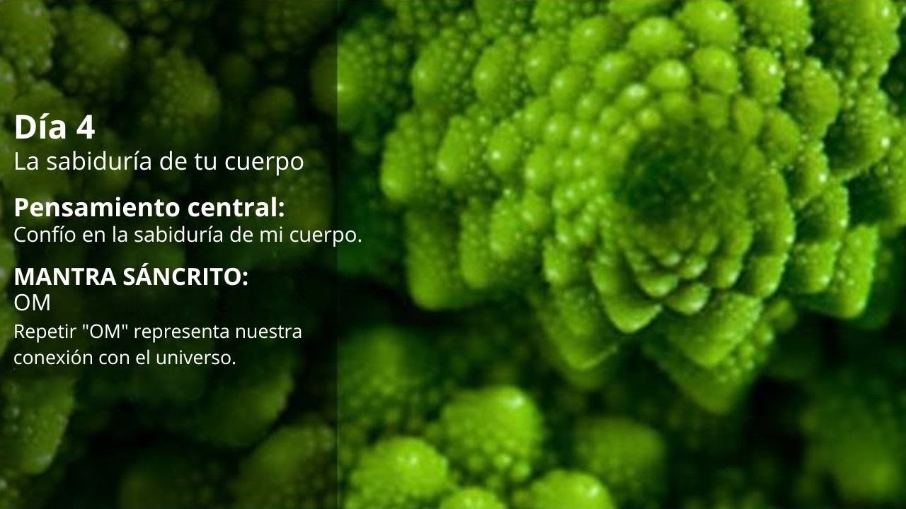 MEDITACIÓN DÍA 4: Despierta LA SABIDURÍA DE TU CUERPO - Salud Perfecta ...