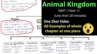 Mind map Animal kingdom || Best notes Class 11 Chapter 4 NEET CBSE Best revision trick for examples