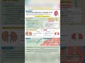 📢 CRITICAL UPDATES: New 2026 Stroke Guidelines! 📢