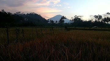 Surat Cinta Untuk Karangsari