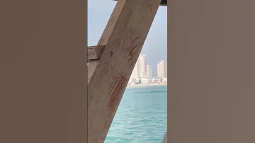 حسن خطك أون لاين محمد بيومي الشيخ عبدالرشيد صوفي Mohamed Sheikh Voice 