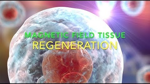 DOES PEMF HELP EVERYTHING? YES PRETTY MUCH! #32 | https://drstephenstokes.com