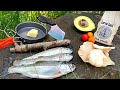 Bobber fishing for rainbow trout catch  cook wild oyster mushroom recipe