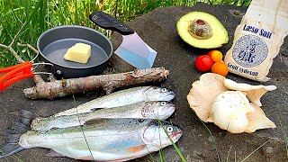 BOBBER FISHING for Rainbow Trout! (Catch & Cook) WILD OYSTER MUSHROOM Recipe!!!