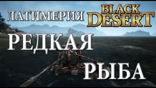 Black Desert Редкая рыба Латимерия