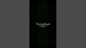 Surah Al-Qasas [28:56] سورة القصص #quran #المصحف #القران