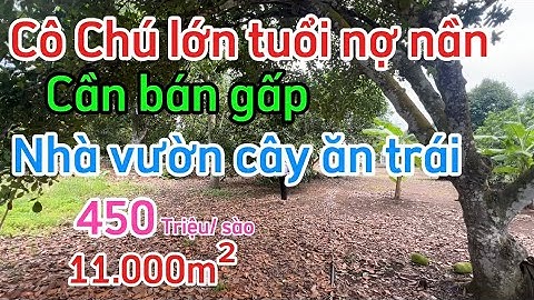 Nhà vườn cây ăn trái đẹp đủ loại tuổi đời 20 tới 40 năm tuổi, đang cho thu hoạch