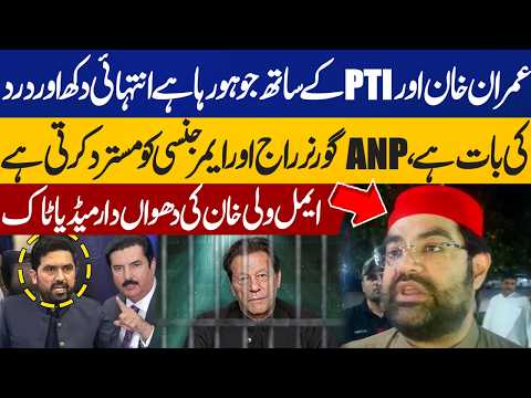 Aimal Wali Khan Expresses Sadness Over Imran Khan and PTI Situation | ANP Rejects Governor's Rule