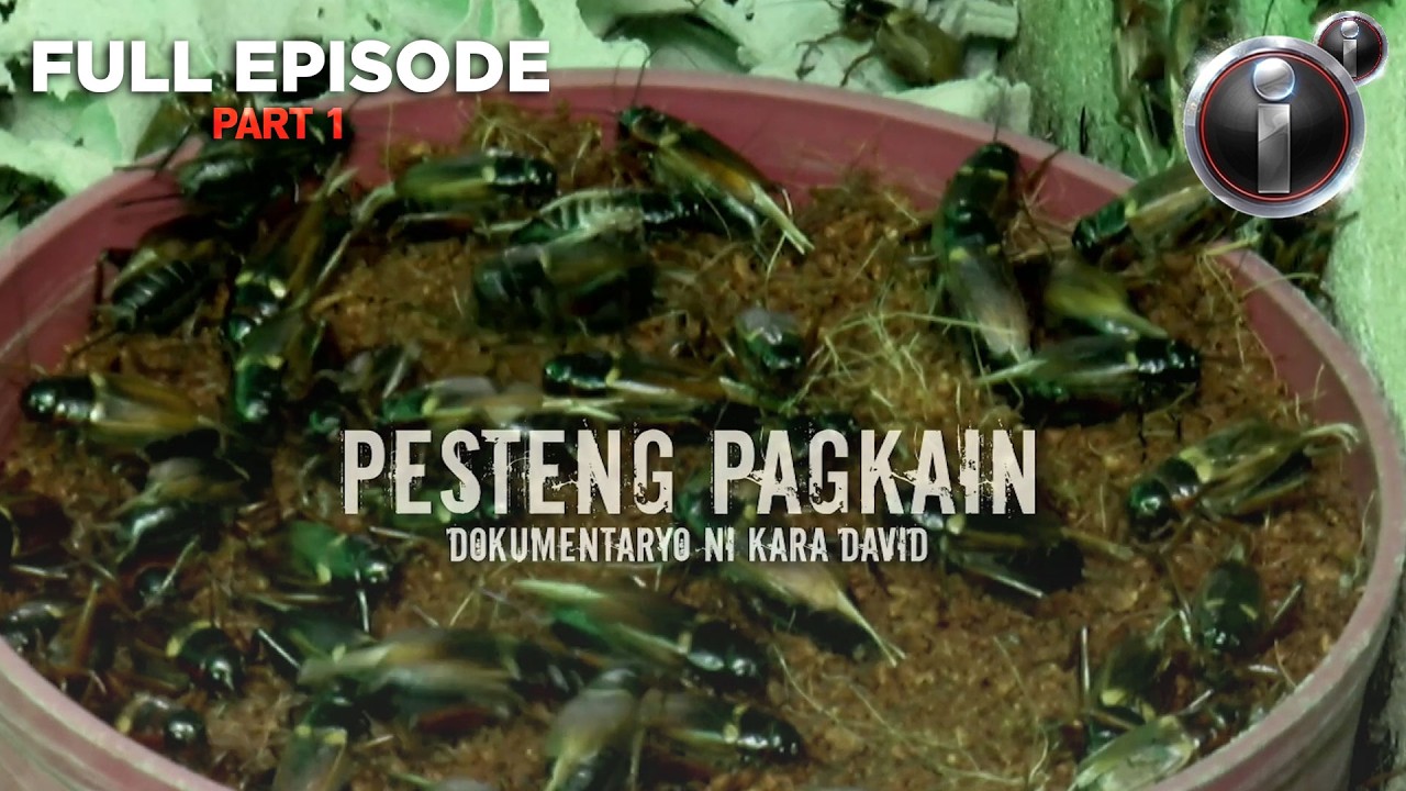 ⁣‘Pagkaing Peste,’ dokumentaryo ni Kara David (Part 1 of 2) | I-Witness