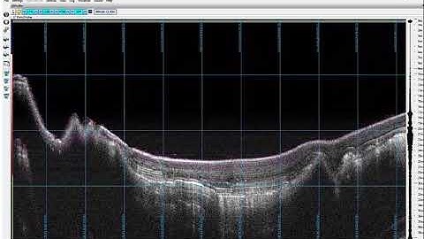 Sub Bottom Profiler Survey Data