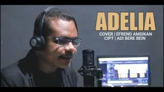 ADELIA | EFREND AMSIKAN | COVER