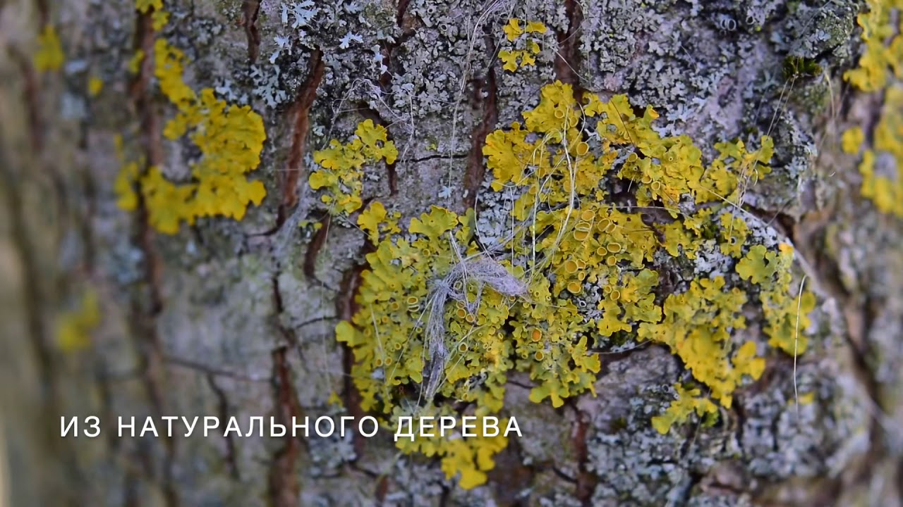 Смотреть видео