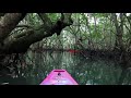 Mangrove Tunnels and Firefly Kayaking, Bohol, Philippines