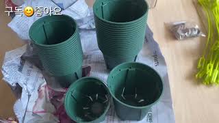 슬릿화분/제라늄에 좋은 통기성 배수도 좋아요/구입처 가격/아이비제라늄 5묶음 테스케