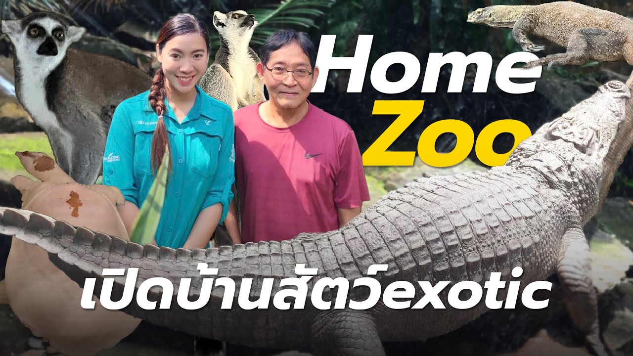 เปิดบ้านสัตว์แปลกหายากที่สุดในโลก HomeZoo in Thailand คลังสัตว์exotic หนึ่งเดียวในไทย