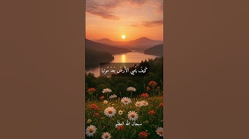 الشيخ عبد الفتاح الطاروطي --نوادر روعه اجمل ما قراء #تلاوات