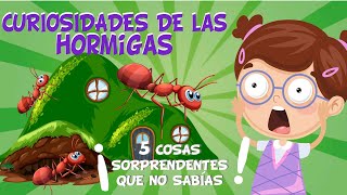 5 COSAS QUE NO SABÍAS DE LAS HORMIGAS | CURIOSIDADES FASCINANTES PARA NIÑOS