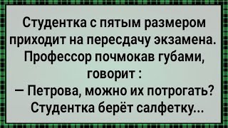 Как Студентка с Пятым Размером На Пересдачу Пришла! Сборник Свежих Анекдотов! Юмор!