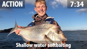 Shallow Water Softbaiting for Snapper
