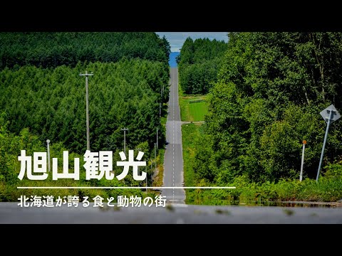 【旭川観光】旭川へ行くならここへ行け！