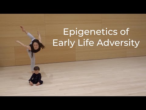 Epigenetics of Early Life Adversity |  Dance Your PhD 2024