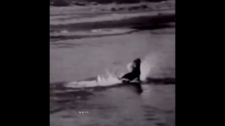 Marilyn Monroe playfully knocked over by  "Tom Doo...