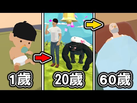 2年前大流行的『從生到死』人生選擇模擬遊戲『100 Years - Life Simulator』太好笑了