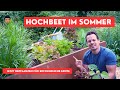Hochbeet im Sommer bepflanzen -Aussaat , Paprika, Aubergine, Melone, usw.