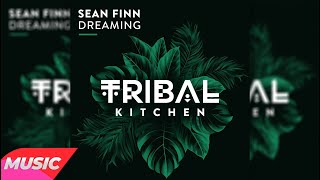 Sean Finn - Dreaming (Extended Mix) Resimi