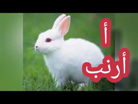   أ ب ت الأحرف الأبجدية باللهجة اللبنانية تعليم الأطفال كلمات