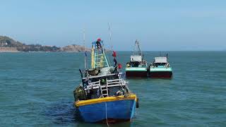 Spring In Vung Tau 2021. 2K 60Fps