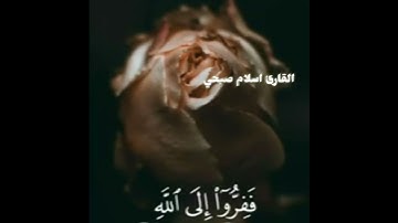 قرآن كريم بصوت اسلام صبحي
