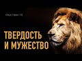 Твердость и мужество