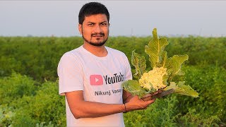 BBQ Indian Curry with 168 Layered Paratha By Nikunj Vasoya | Indian Village Cooking